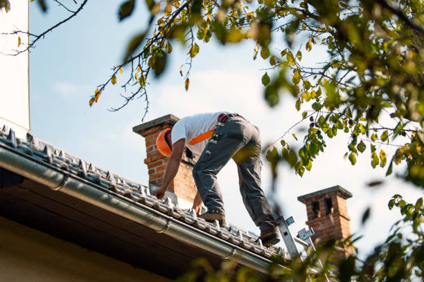 Best Local Roofing Companies  in Delhi Hills, OH